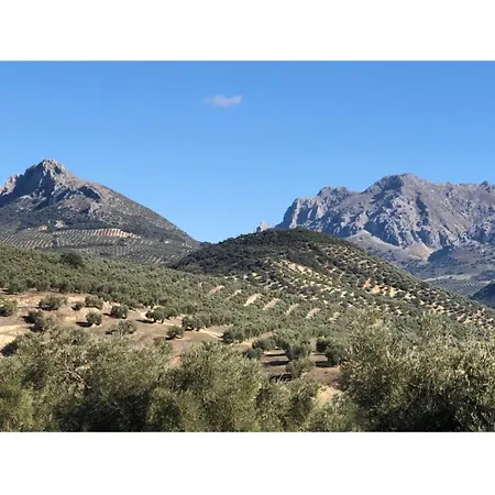 Apartment Large 1 Bed In The Beautiful Countryside